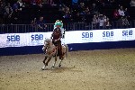 Quadrille - 00280